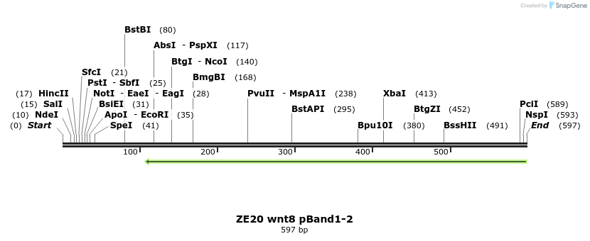 22865_map