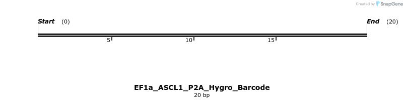 228650_map