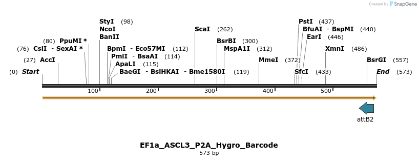 228652_map