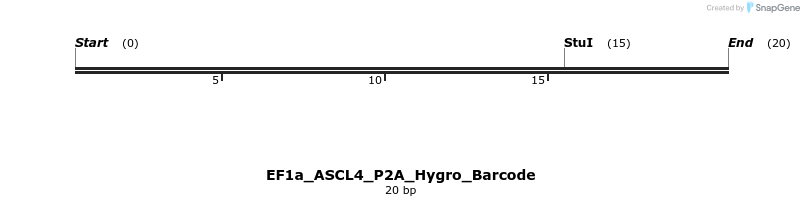 228656_map