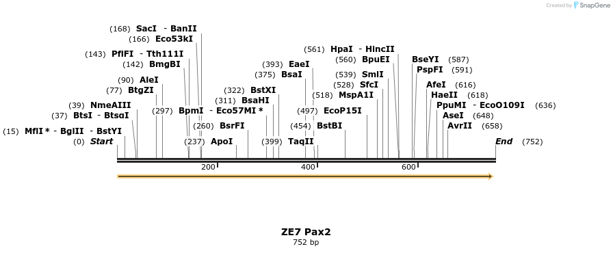 22866_map