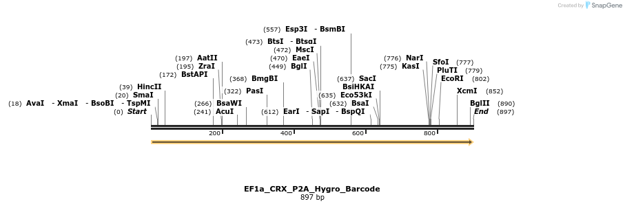228667_map
