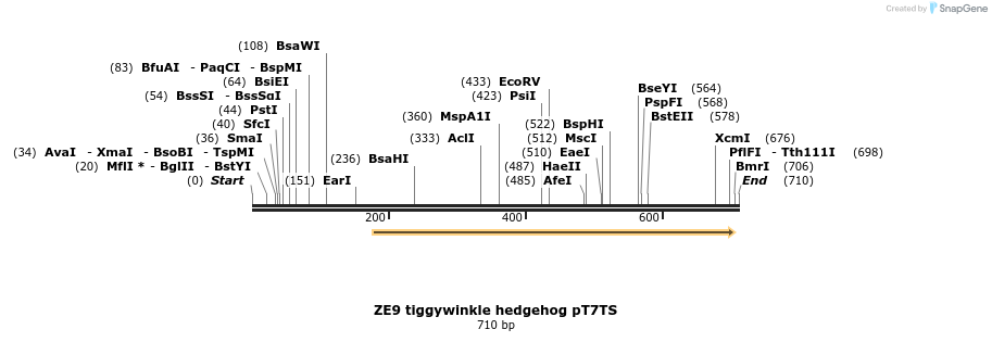 22867_map