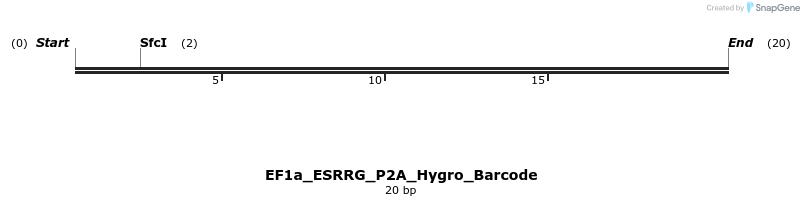 228674_map