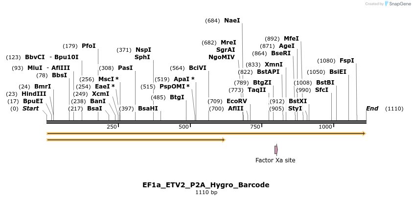 228676_map