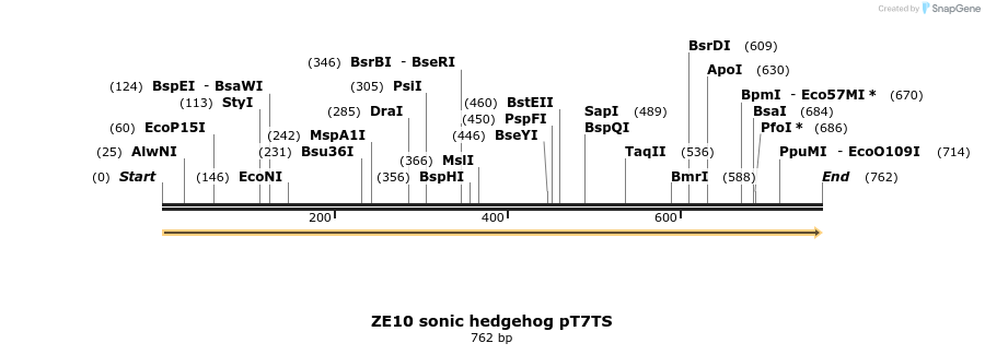 22868_map