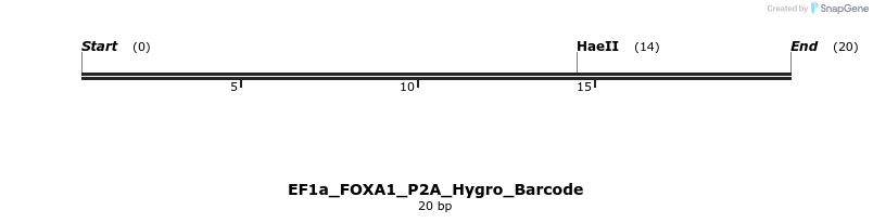 228683_map