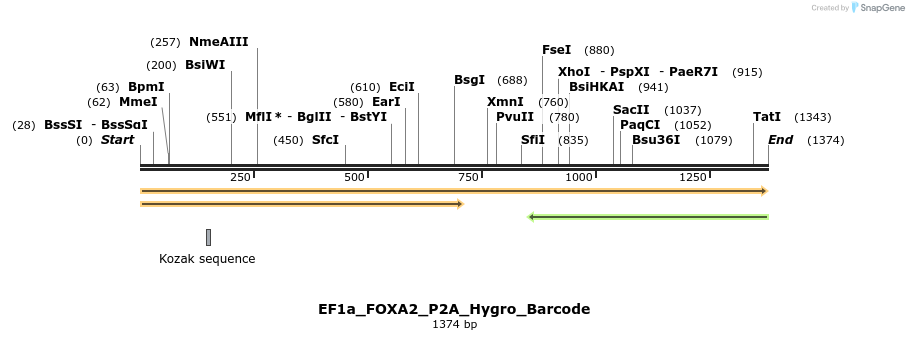 228685_map