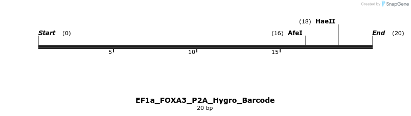 228689_map