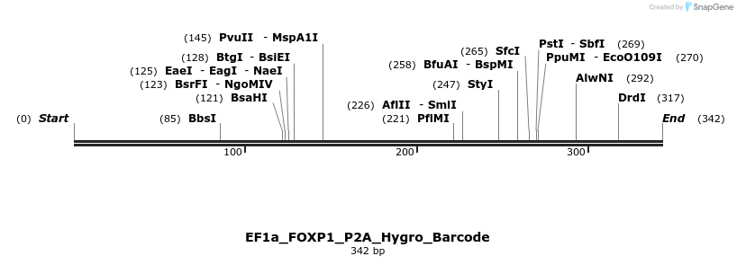 228691_map