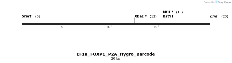 228692_map