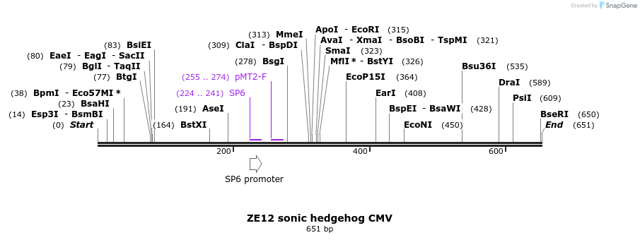 22870_map