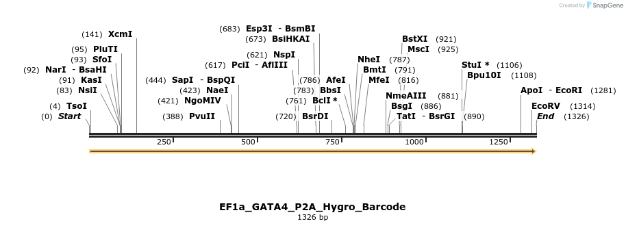 228700_map