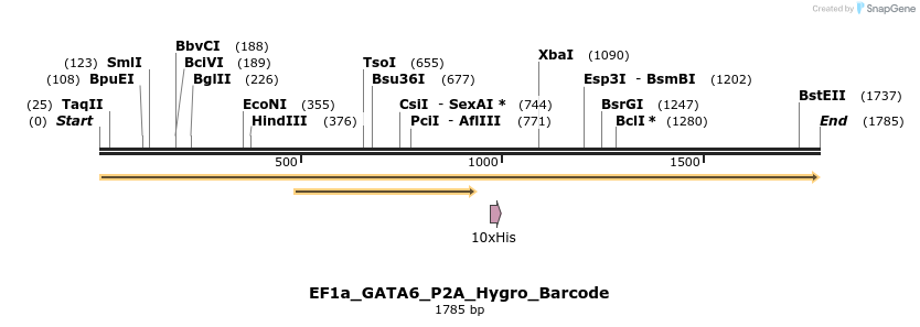 228703_map