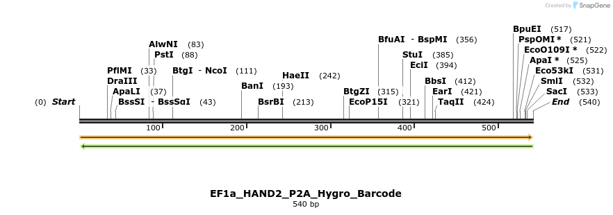 228709_map