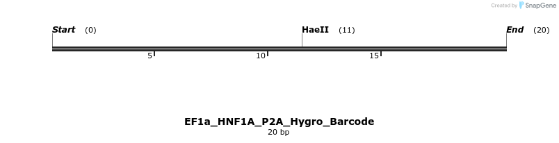 228713_map