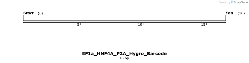 228719_map