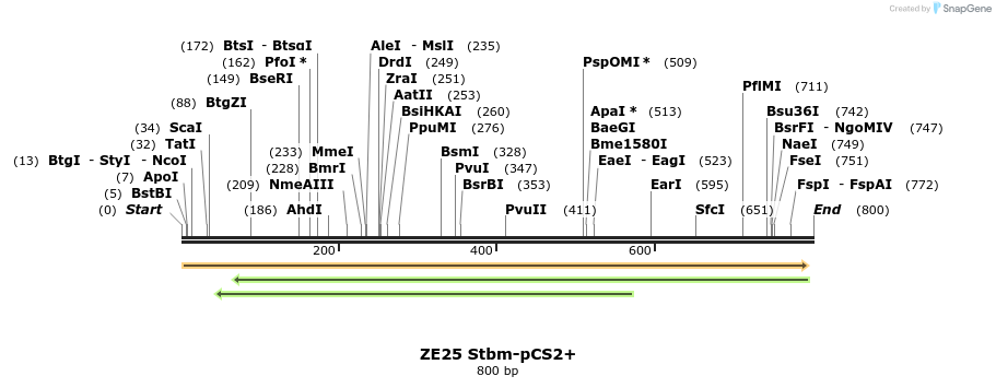 22872_map