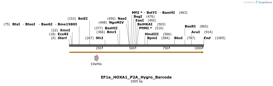 228721_map