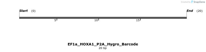 228722_map