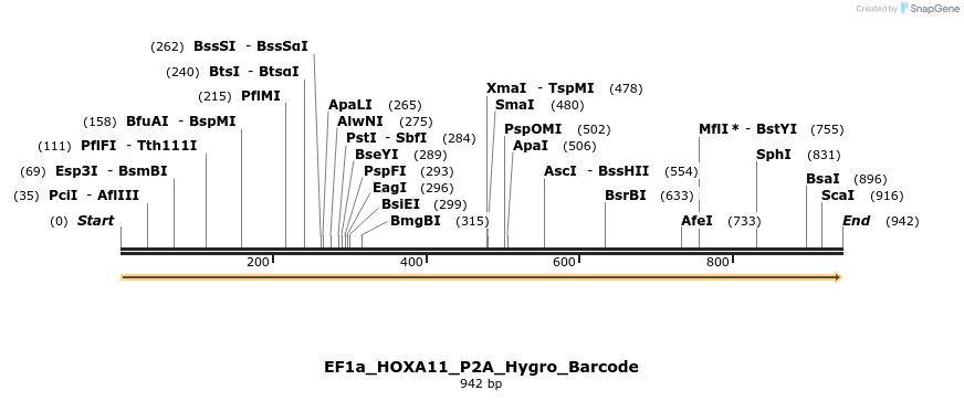 228727_map