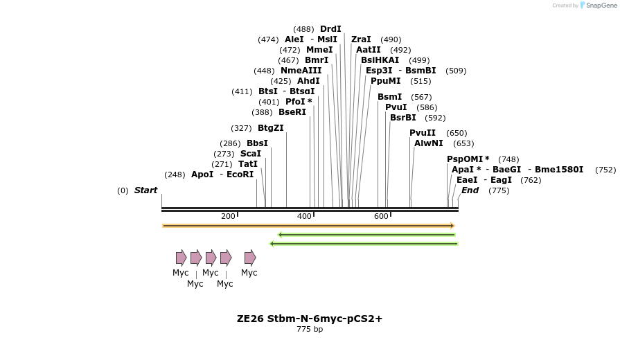 22873_map