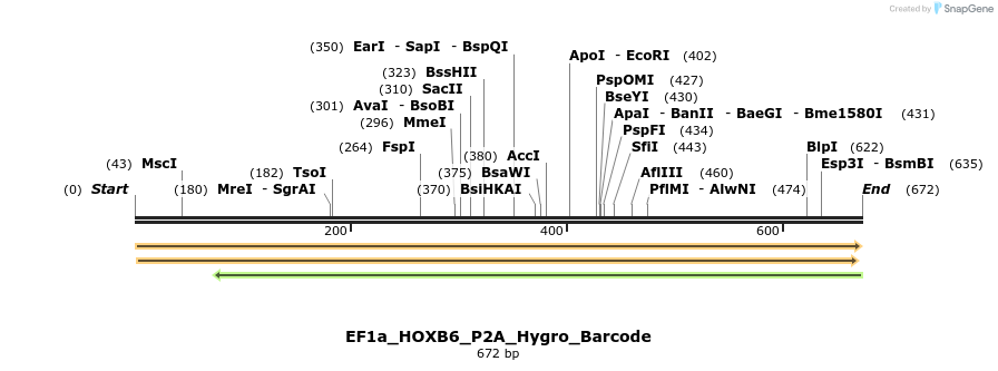 228730_map