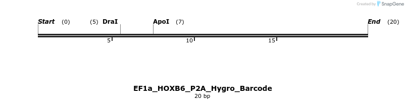 228731_map