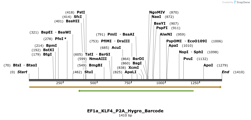228733_map