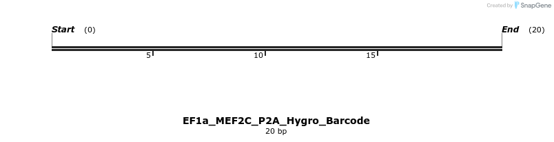 228743_map