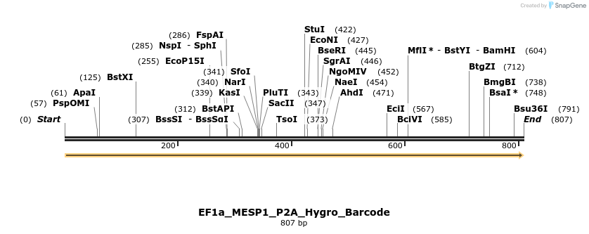 228745_map