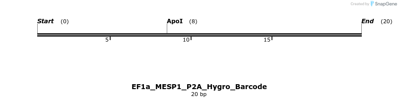 228746_map