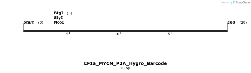 228758_map