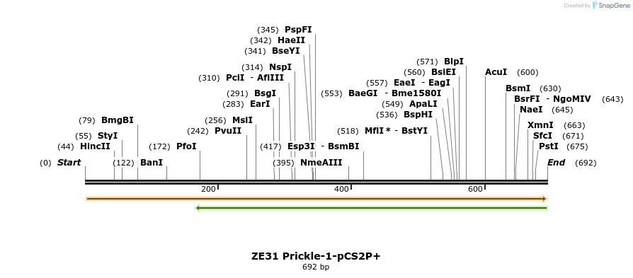22876_map