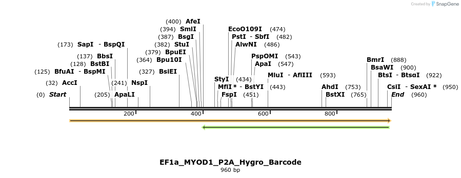 228760_map