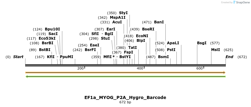 228763_map