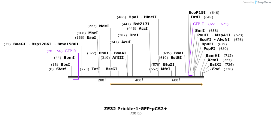 22877_map