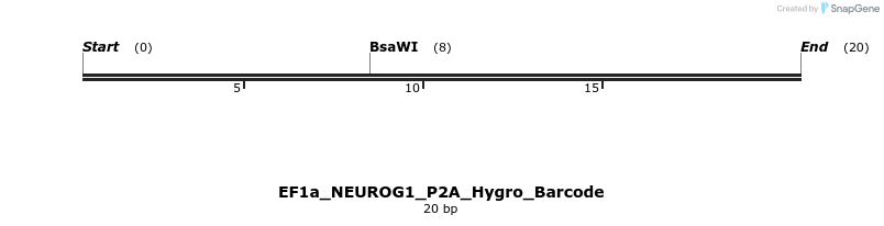 228770_map