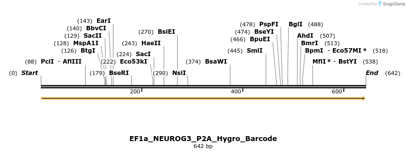 228772_map