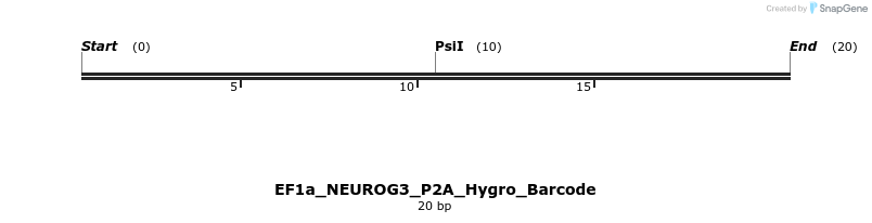 228773_map