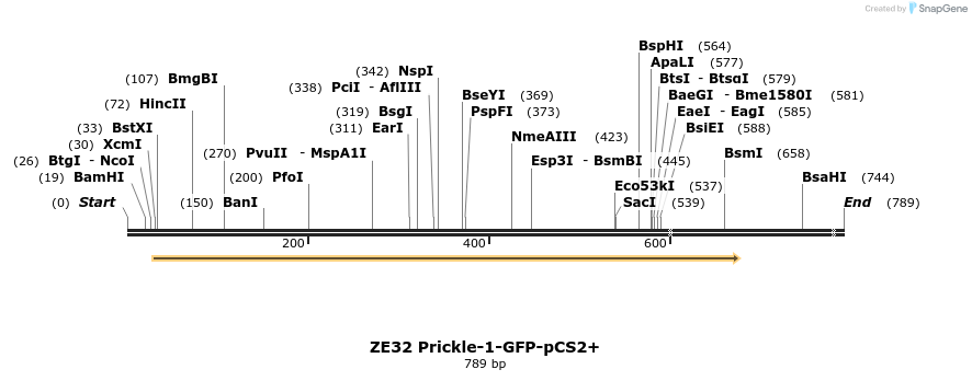 22878_map