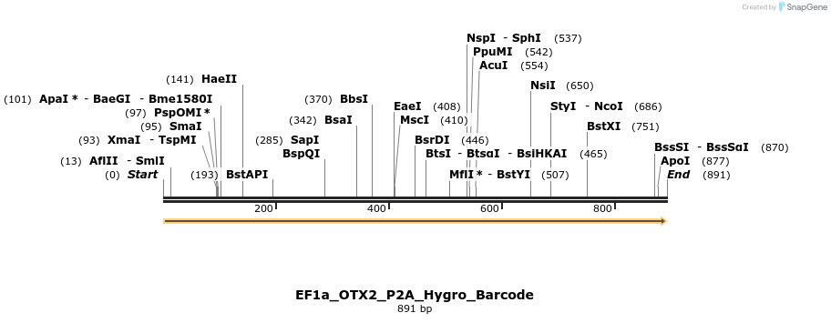 228781_map