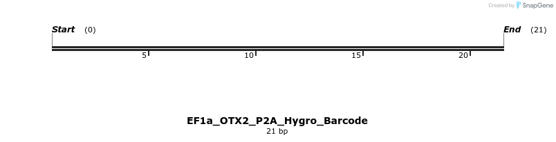 228782_map