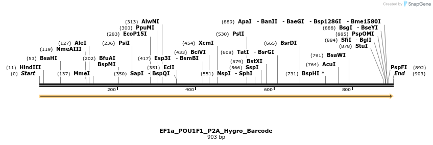 228787_map