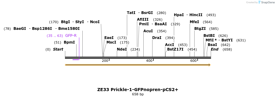 22879_map