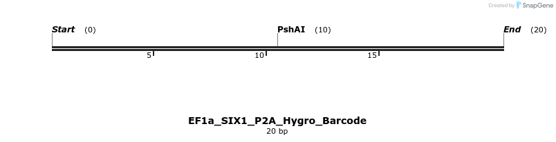 228797_map