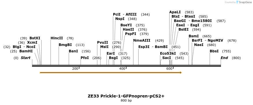 22880_map
