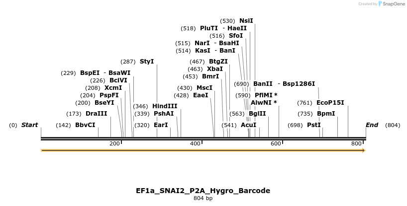 228802_map