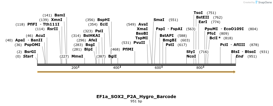 228808_map