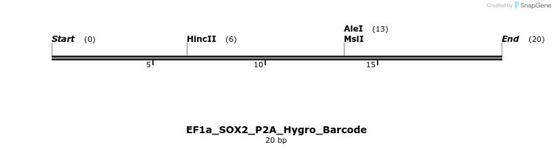 228809_map